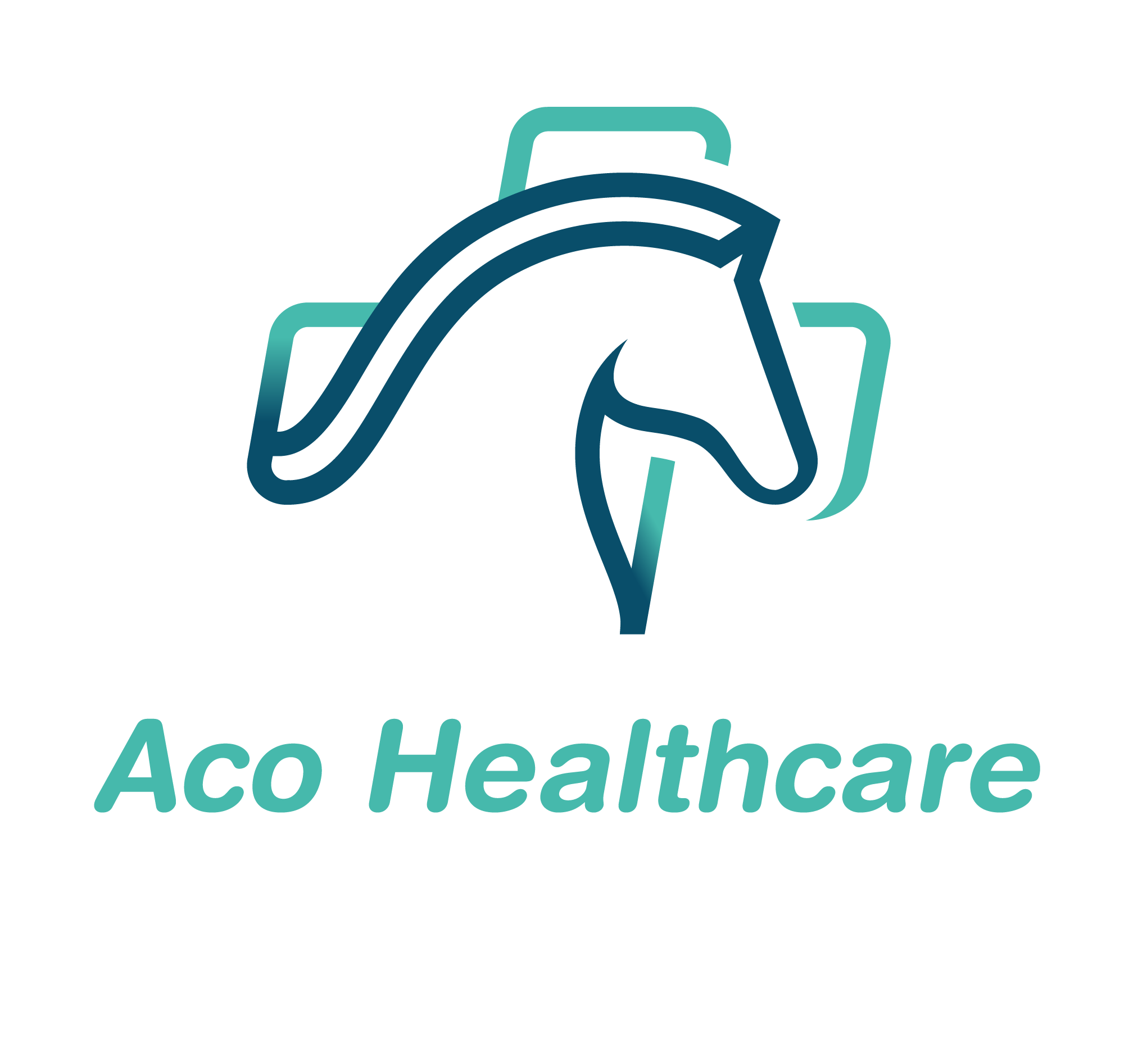 ACO HEALTHCARE. CO., LTD
