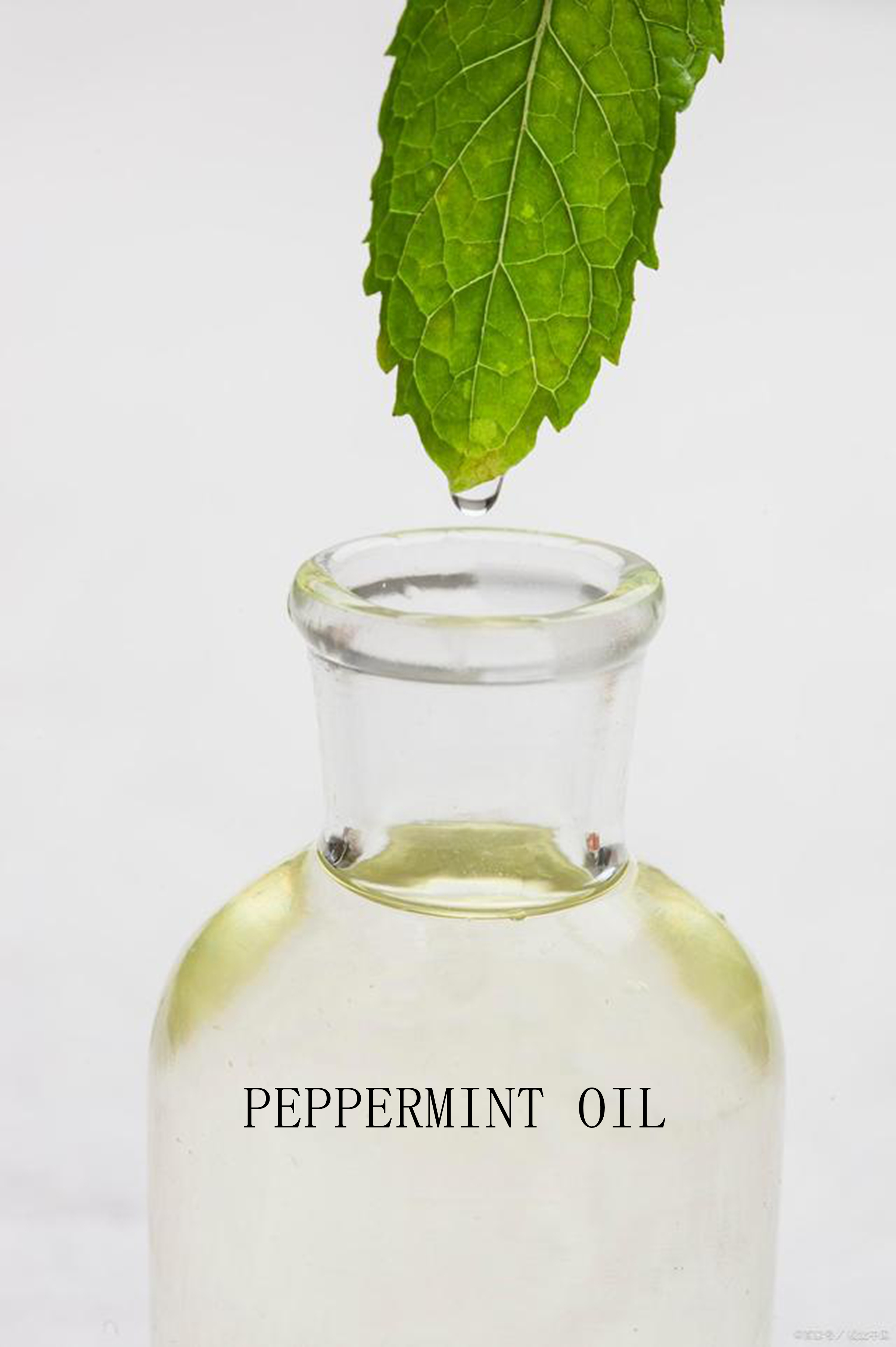 ANHUI TONGHUI PERFUME CO.,LTD