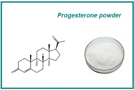 Progesterone Powder