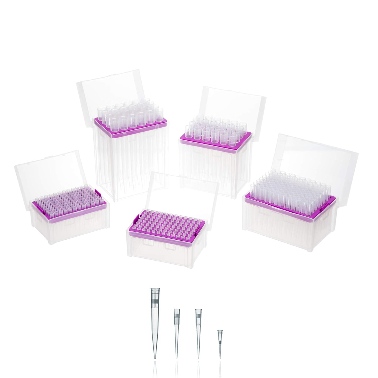 CHONGQING NEW WORLD TRADING CO.,LTD