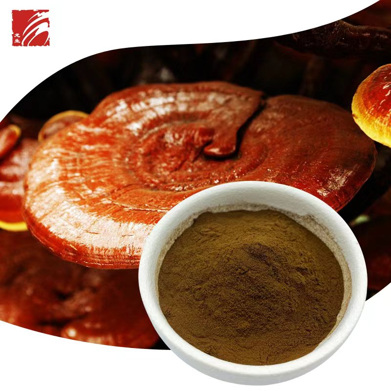 Ganoderma Lucidum Extract
