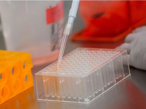 Global virus vaccine race heats up, but not without controversy