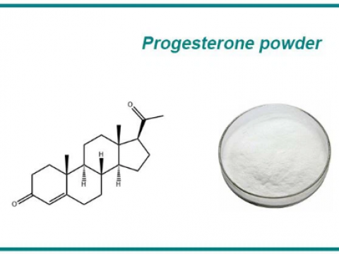 Progesterone Powder